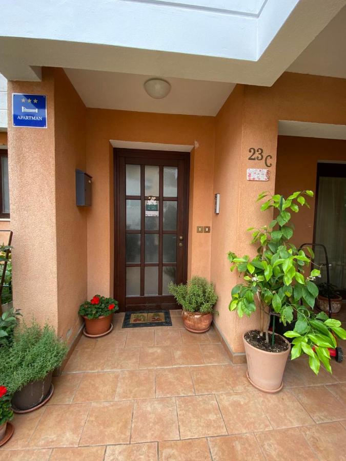 Apartman Rose-2025 Renovated Garden View ポレッチ エクステリア 写真
